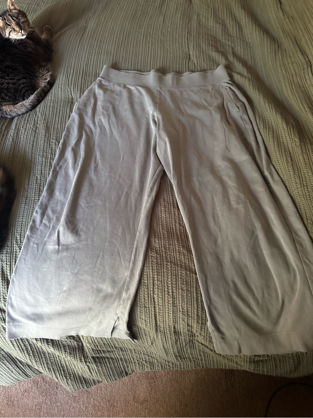 Pact Wide-Leg Lounge Pants in Light Gray
